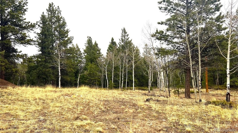 001 Russell Gulch Rd, Central City, CO 80427