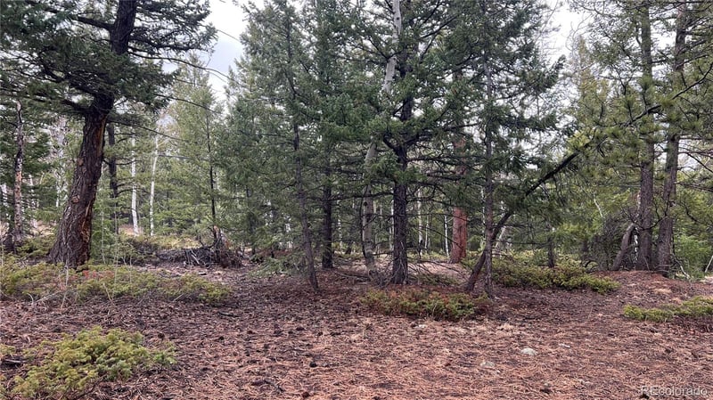 001 Russell Gulch Rd, Central City, CO 80427