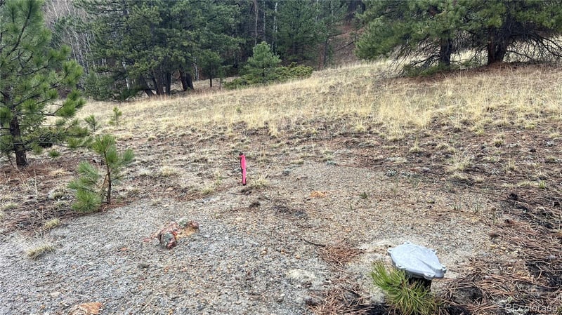 002 Russell Gulch Rd, Central City, CO 80427