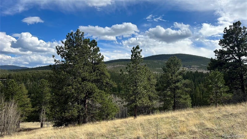 002 Russell Gulch Rd, Central City, CO 80427
