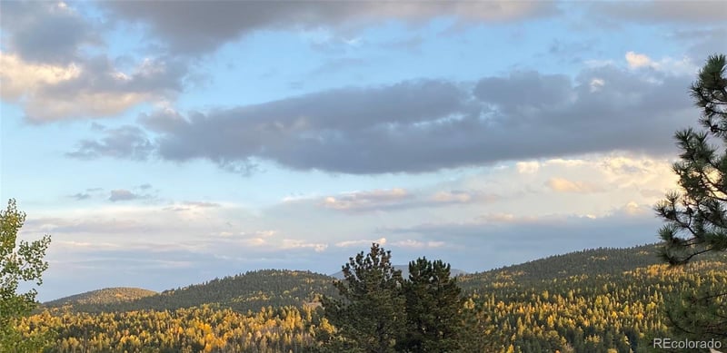 002 Russell Gulch Rd, Central City, CO 80427