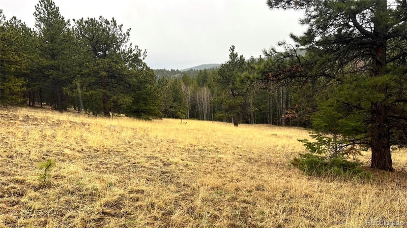 002 Russell Gulch Rd, Central City, CO 80427
