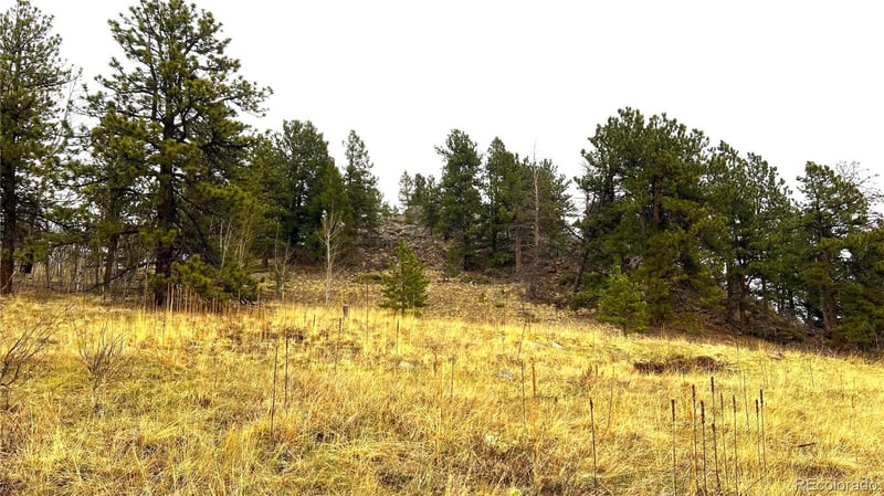 003 Russell Gulch Rd, Central City, CO 80427