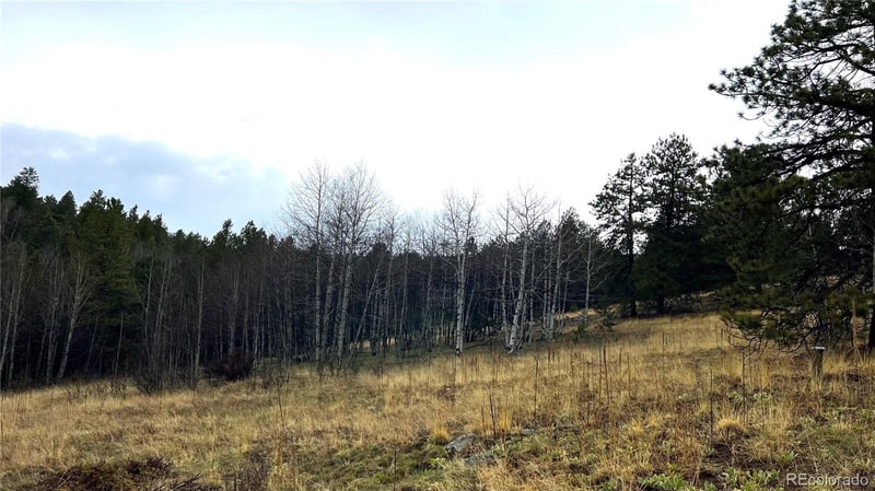003 Russell Gulch Rd, Central City, CO 80427
