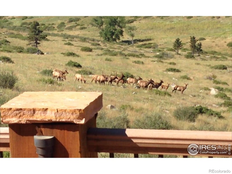 928 S County Road 31, Berthoud, CO 80513