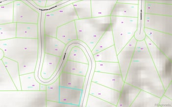 255 Pinon Ln, Florissant, CO 80816