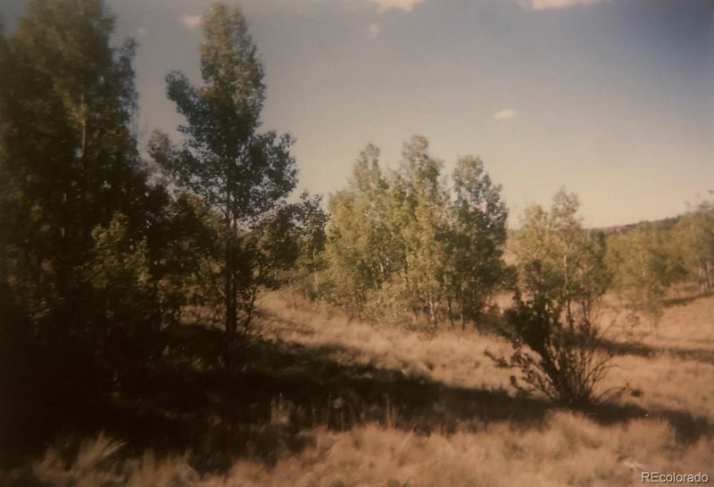 128 Ignacio Way, Como, CO 80456