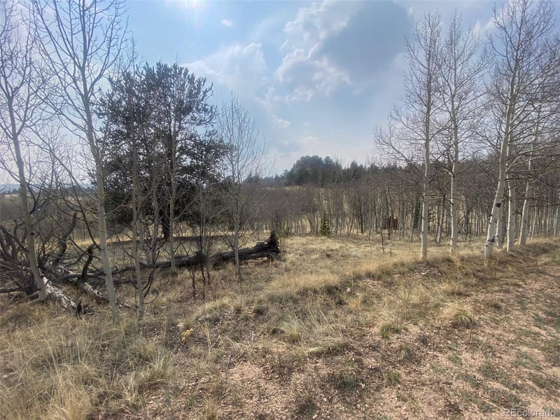 128 Ignacio Way, Como, CO 80456