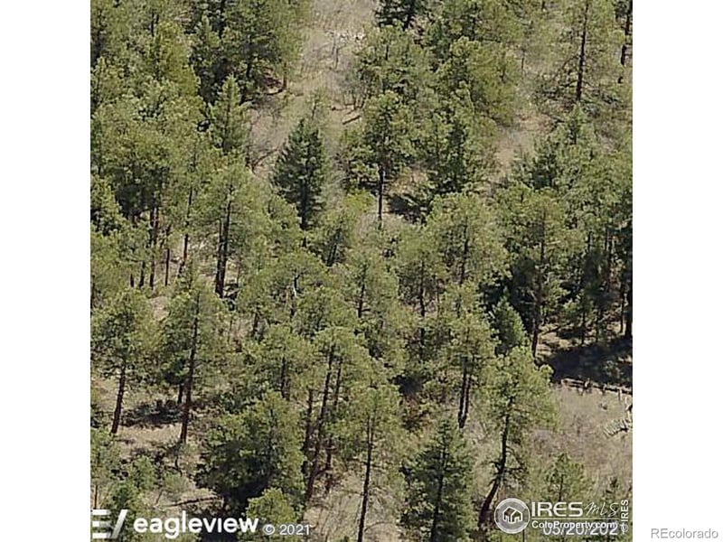 Morrison, CO 80465