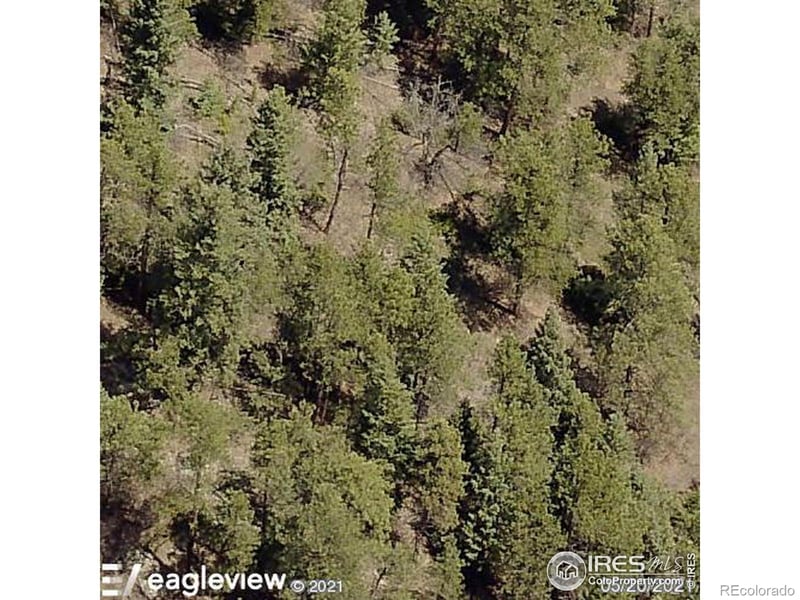 Morrison, CO 80465