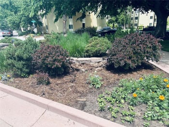 600 S Clinton, Denver, CO 80247