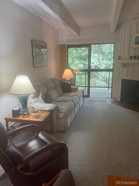 222 Creekside Dr #201, Frisco, CO 80443
