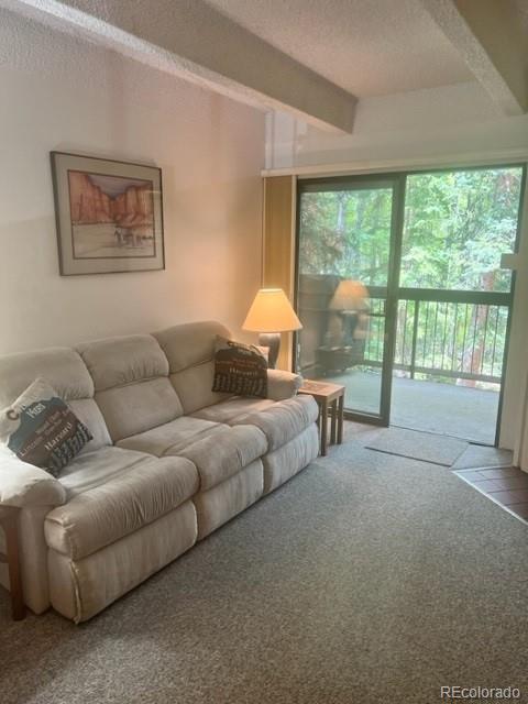 222 Creekside Dr #201, Frisco, CO 80443