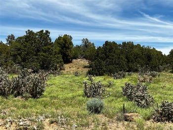 Lot 589 La Deora Blvd, Walsenburg, CO 81089