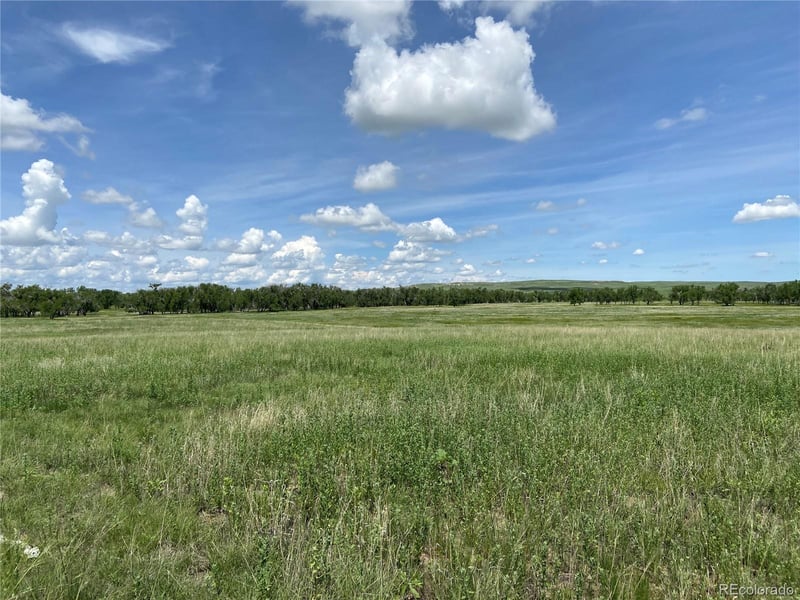 39373 Us Hwy 24, Matheson, CO 80830