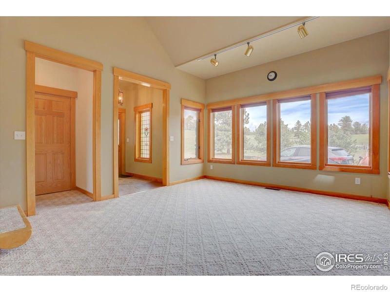 20352 Spring Creek Trl, Buffalo Creek, CO 80425