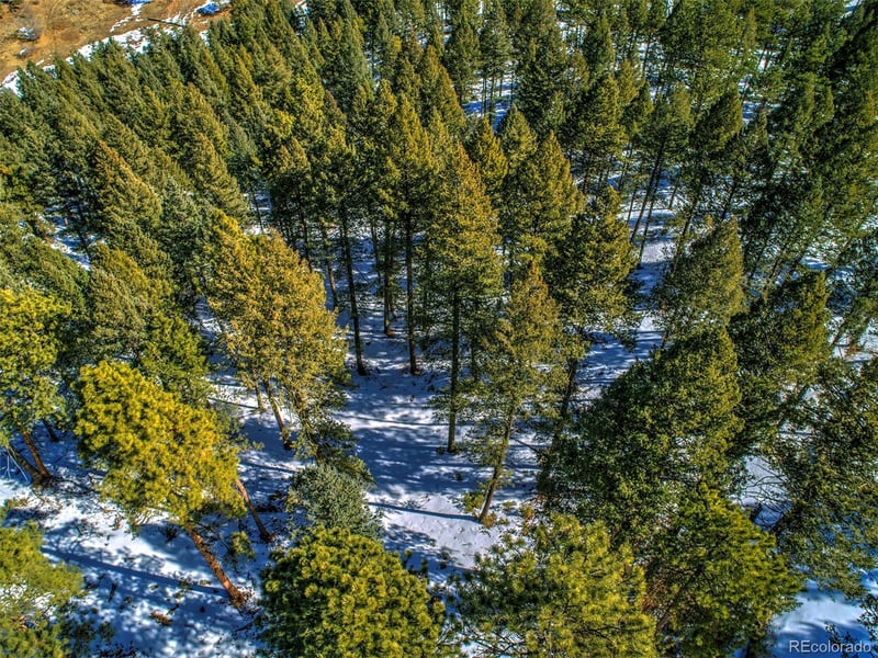 TBD 4 Iowa Gulch Rd Lot 4, Morrison, CO 80465