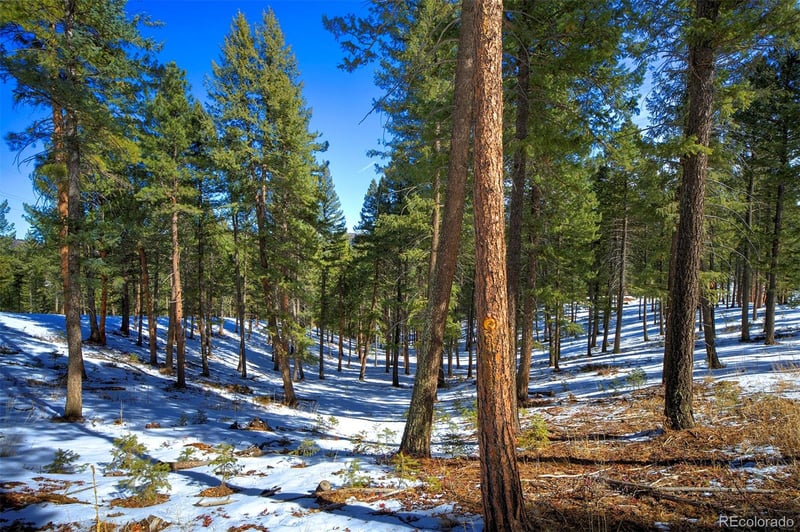 TBD 4 Iowa Gulch Rd Lot 4, Morrison, CO 80465