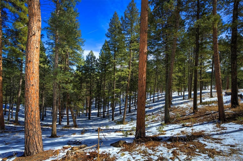 TBD 4 Iowa Gulch Rd Lot 4, Morrison, CO 80465
