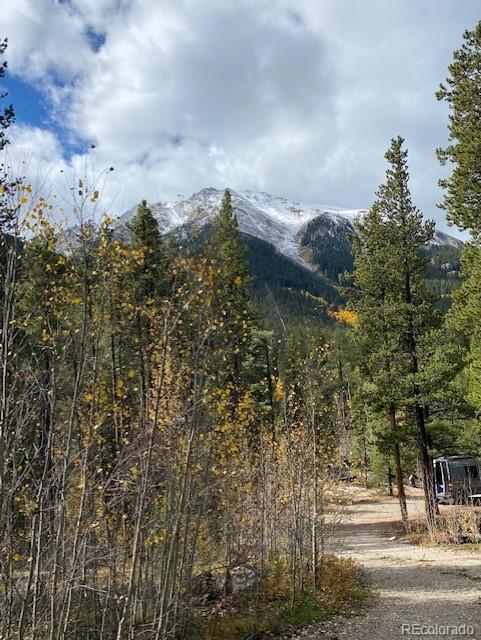 11700 Highway 82 Lot 23a, Twin Lakes, CO 81251