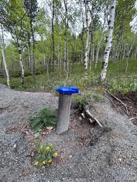 0 Upper Travis Gulch Rd, Rollinsville, CO 80474