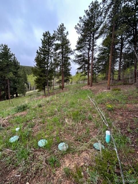 0 Upper Travis Gulch Rd, Rollinsville, CO 80474