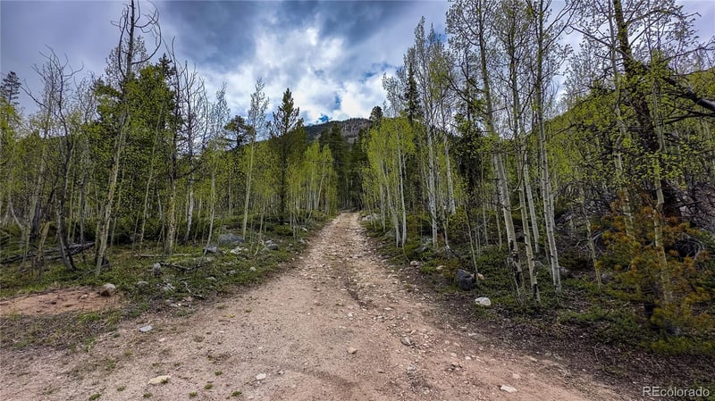 19526 Humbug Et Aly, Twin Lakes, CO 80461