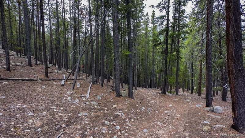 19526 Humbug Et Aly, Twin Lakes, CO 80461