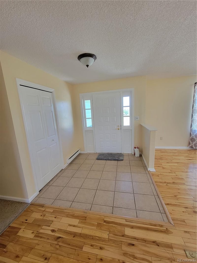 2804 Haskell Ct, Watkins, CO 80137