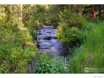 1217 Big Owl Rd, Allenspark, CO 80510