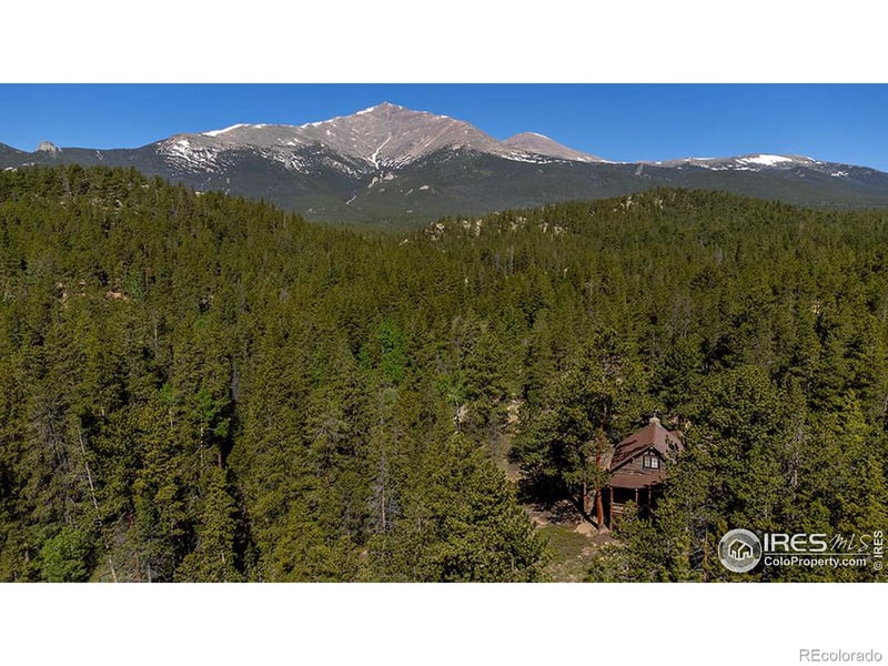 1217 Big Owl Rd, Allenspark, CO 80510