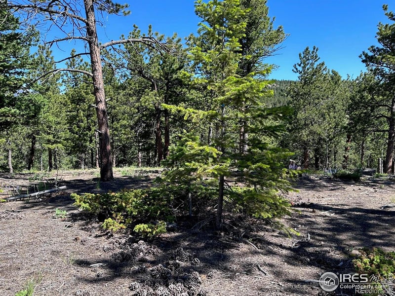16 Kittle Ct, Lyons, CO 80540