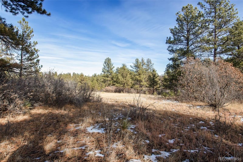 11007 Sunset Oak Pl, Franktown, CO 80116