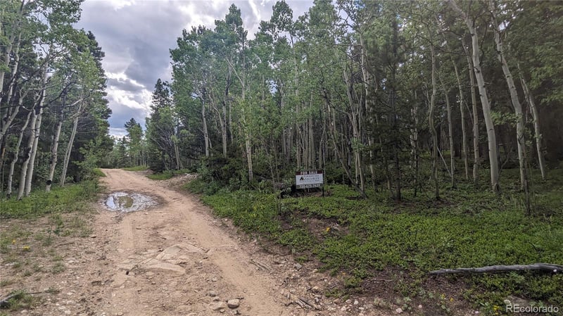 TBD Roy Smith Rd, Central City, CO 80427