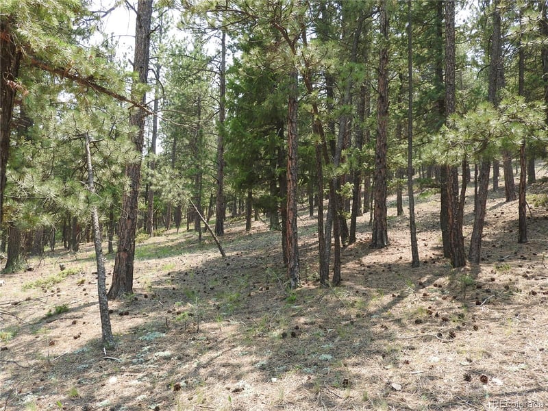 0 La Plata Ln, Pine, CO 80470