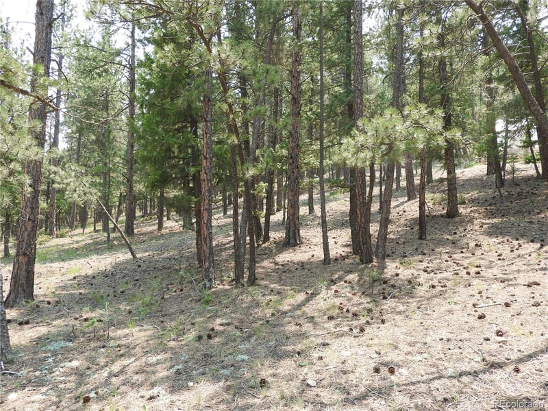 0 La Plata Ln, Pine, CO 80470