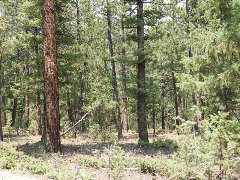 0 La Plata Ln, Pine, CO 80470