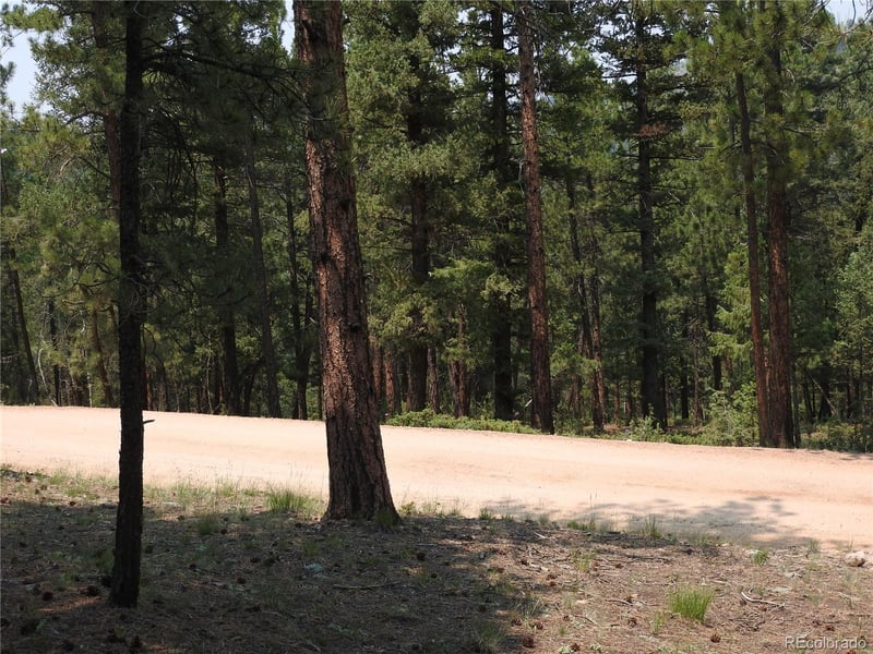 0 La Plata Ln, Pine, CO 80470