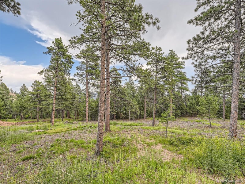 9206 Broken Bow Ranch Rd, Morrison, CO 80465