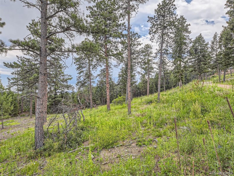 9206 Broken Bow Ranch Rd, Morrison, CO 80465