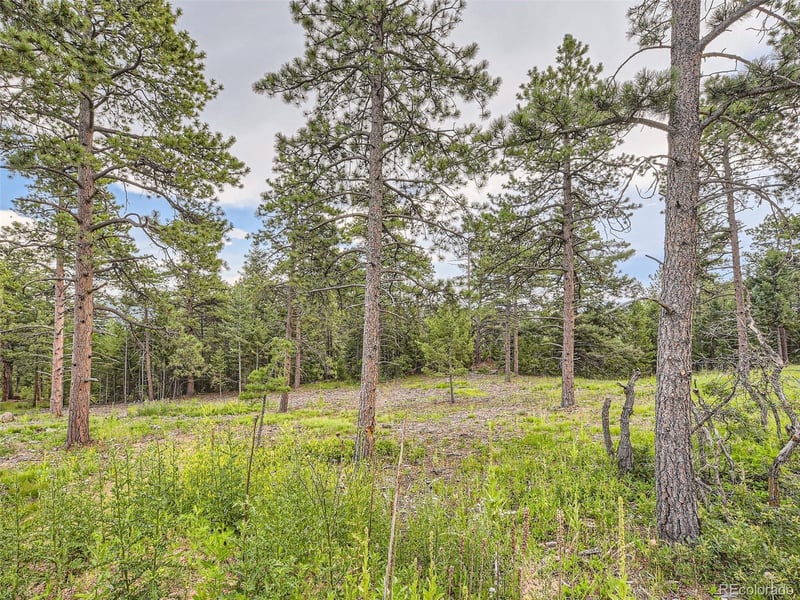 9206 Broken Bow Ranch Rd, Morrison, CO 80465