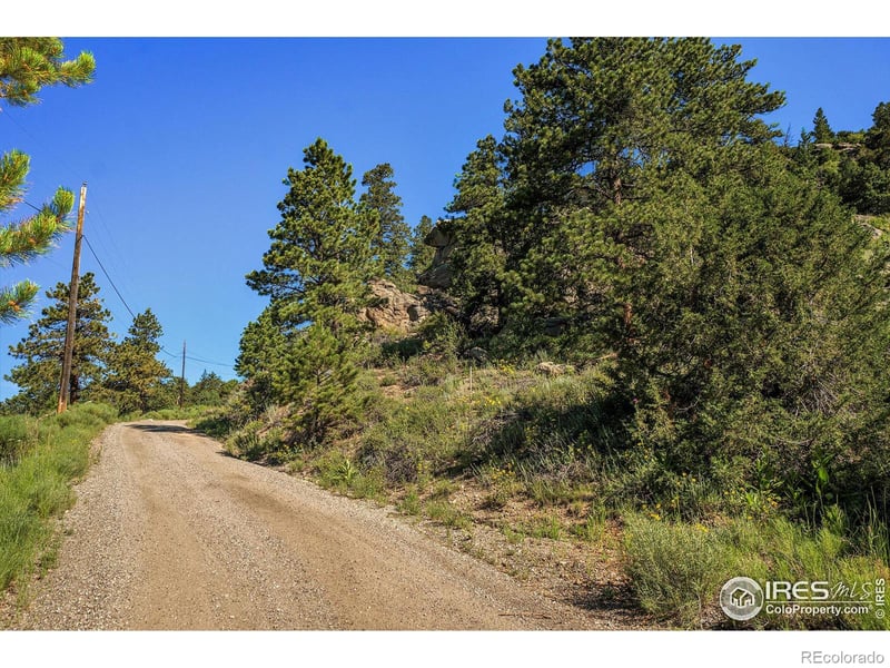 601 Pine Tree Dr, Estes Park, CO 80517