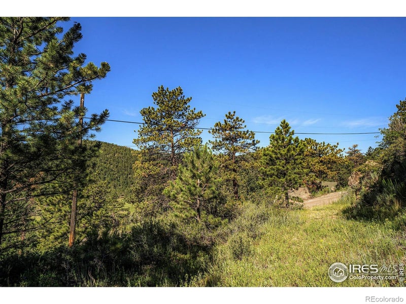 601 Pine Tree Dr, Estes Park, CO 80517