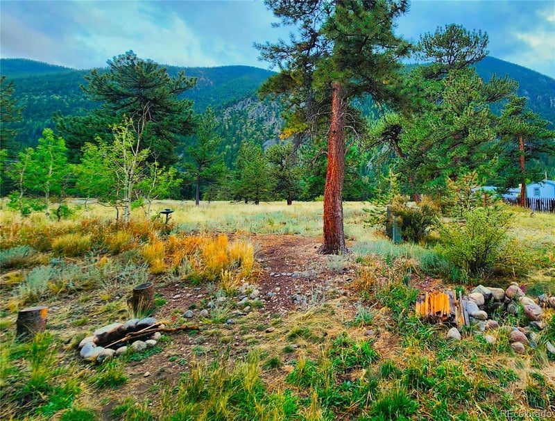65 Empire West Rd #62, Empire, CO 80438