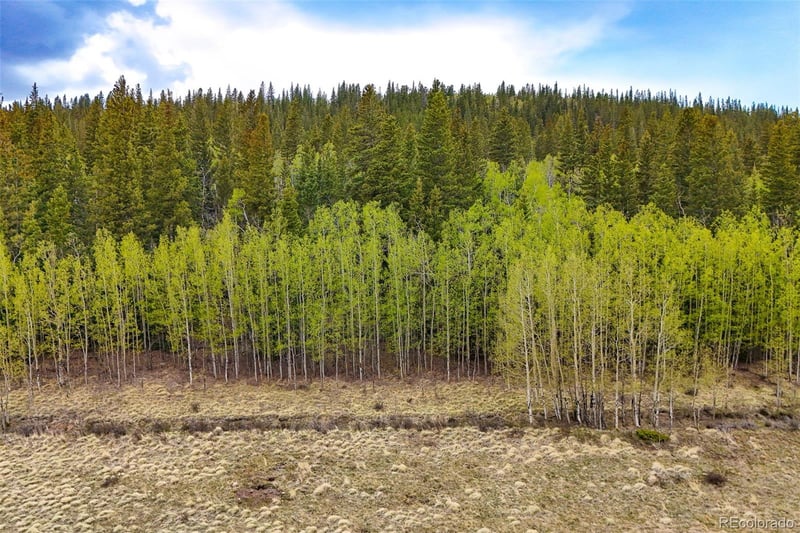 00 Michigan Hill Rd, Jefferson, CO 80456