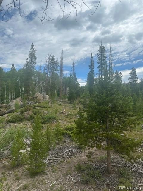 842 Elk Dale Dr, Tabernash, CO 80478