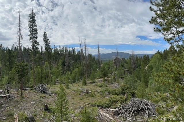 842 Elk Dale Dr, Tabernash, CO 80478