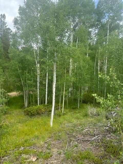 842 Elk Dale Dr, Tabernash, CO 80478