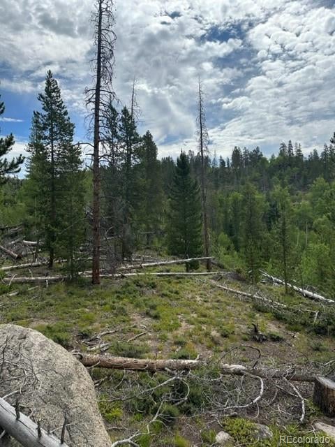 842 Elk Dale Dr, Tabernash, CO 80478