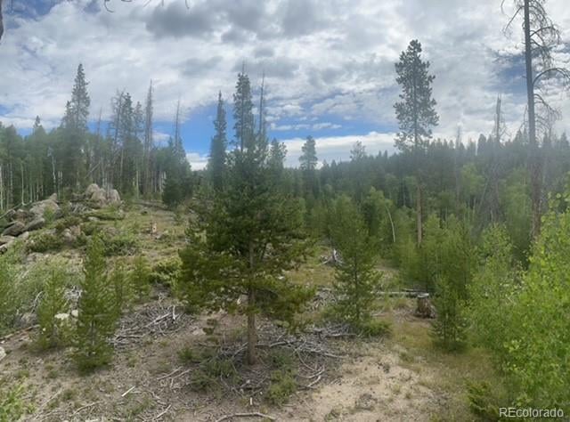 842 Elk Dale Dr, Tabernash, CO 80478